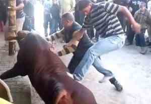 Massale dierenmishandeling in Gaza voor "slachtfeest"