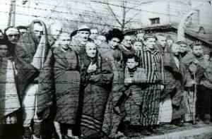 Auschwitz, bevrijding januari 1945.