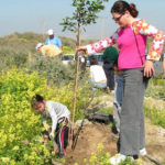 TUBISHVAT1